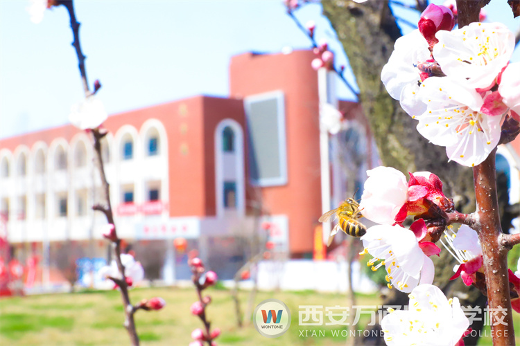 “元素周期表”中尋找西安萬通關鍵詞！